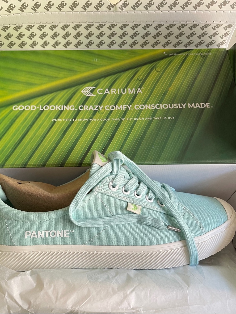 Cariuma Pantone Mint Canvas Low-Top Sneaker - Mint